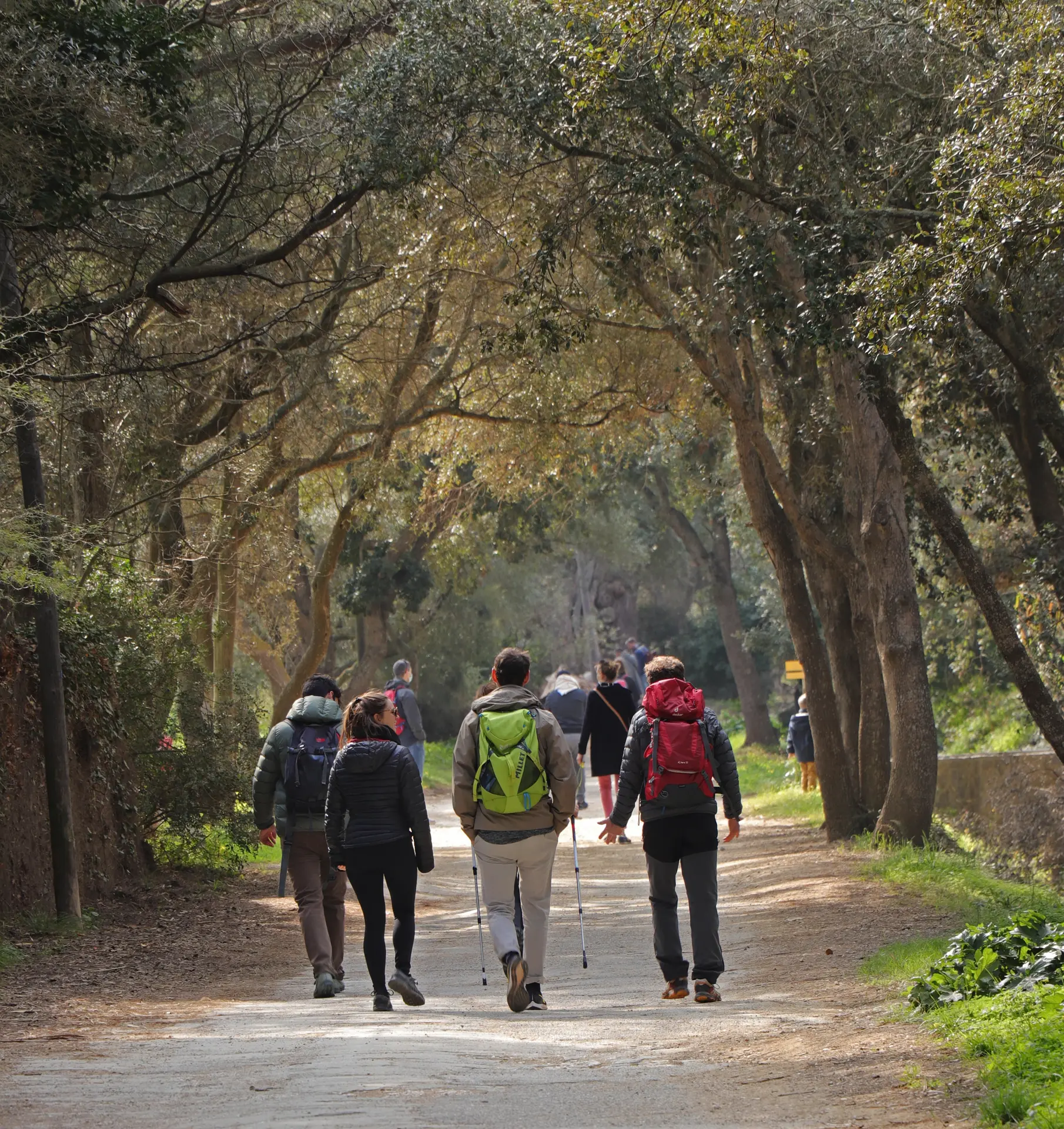 Point Rencontre : La Biodiversité qui se cuisine - Ile de Porquerolles