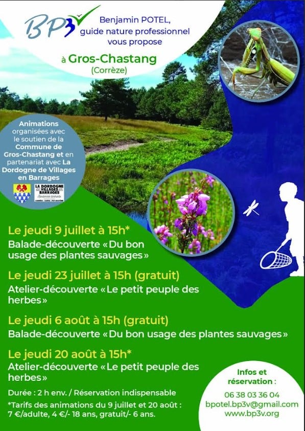 Atelier découverte "Le p'tit peuple des herbes"