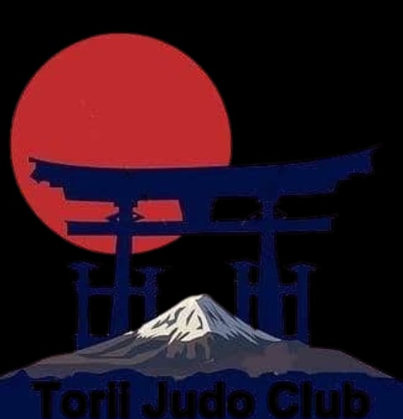 TORII JUDO CLUB : NOÉ