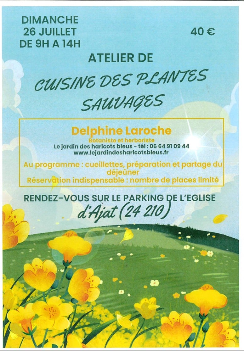 Atelier de cuisine des plantes sauvages