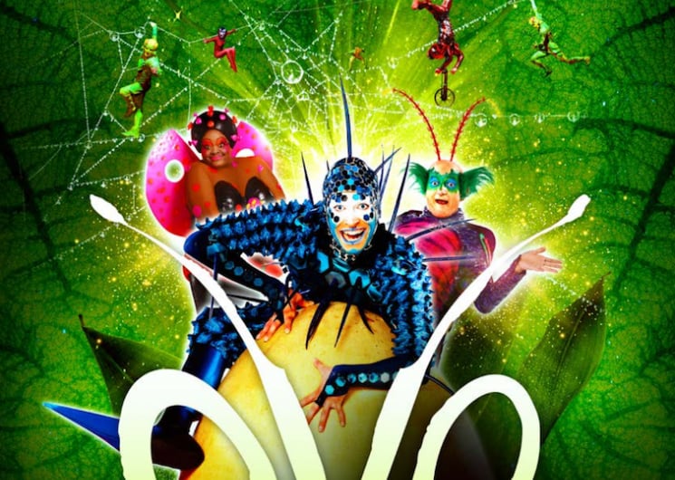 OVO – LE CIRQUE DU SOLEIL