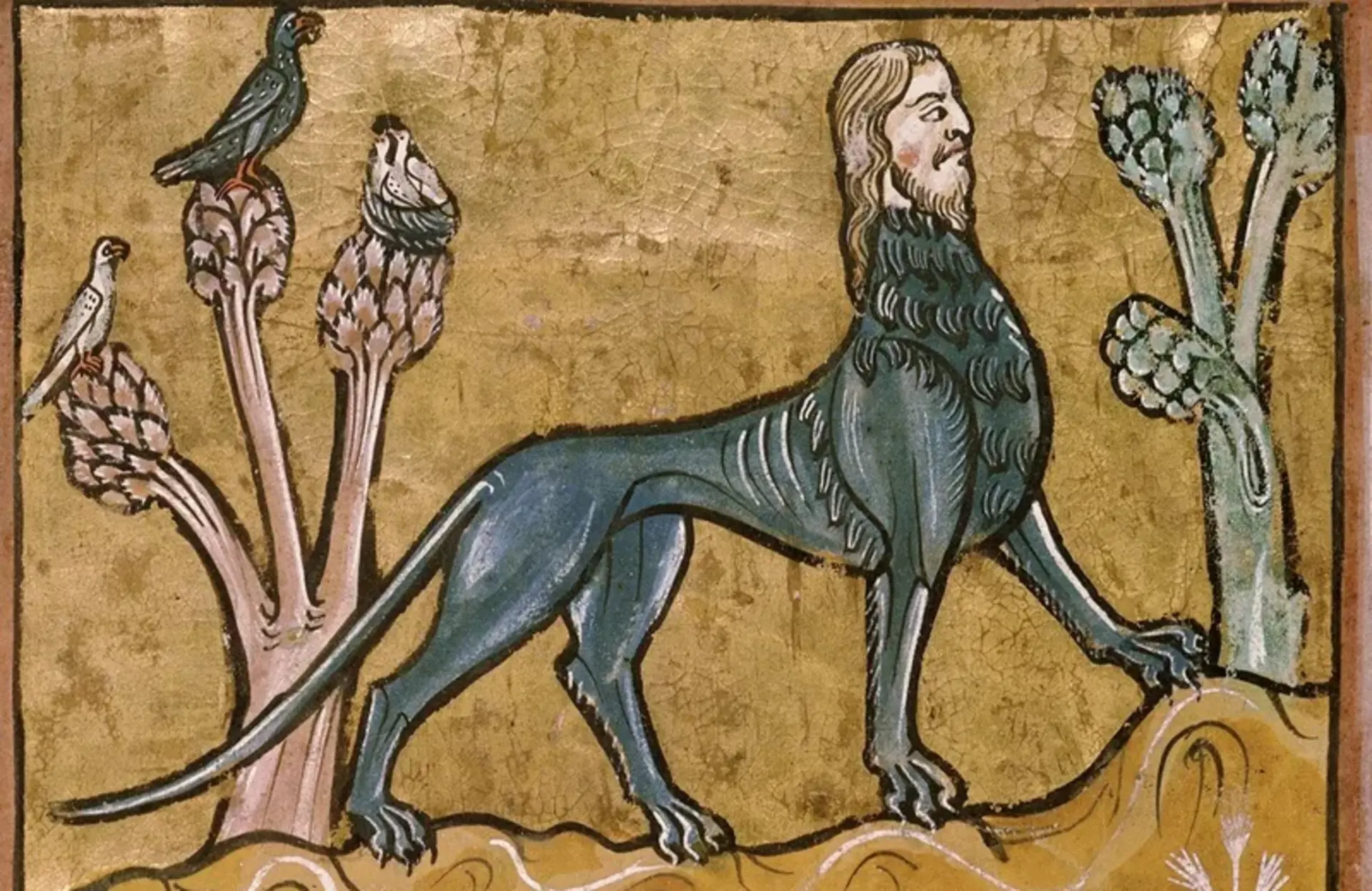 Bestiaire imaginaire, chimères et légendes de la faune des montagnes