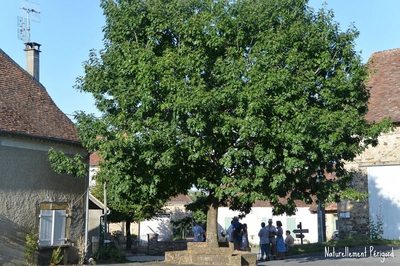 Rando repas à Gandumas