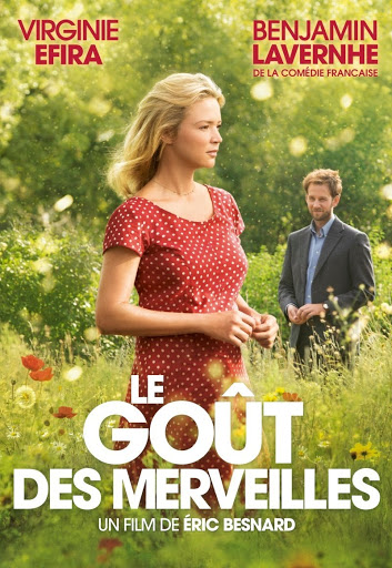 Festival cinéma plein air - Les Nuits étoilées