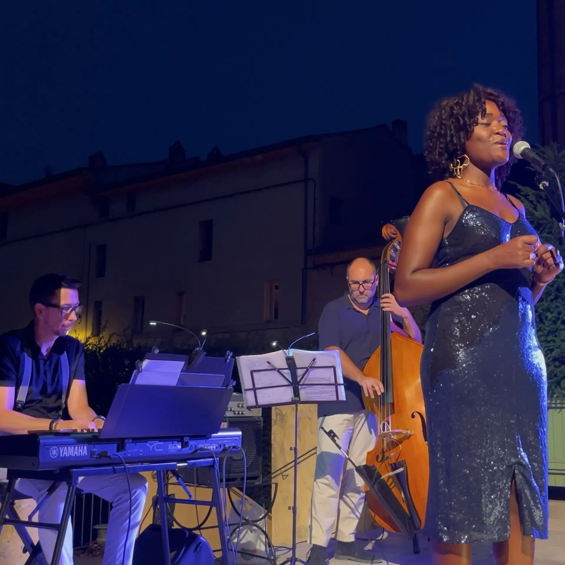 Festival Swing in the Mountains - Concert Kind of Jazz