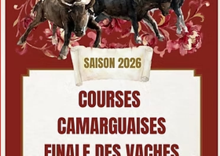 Course des vaches cocardières