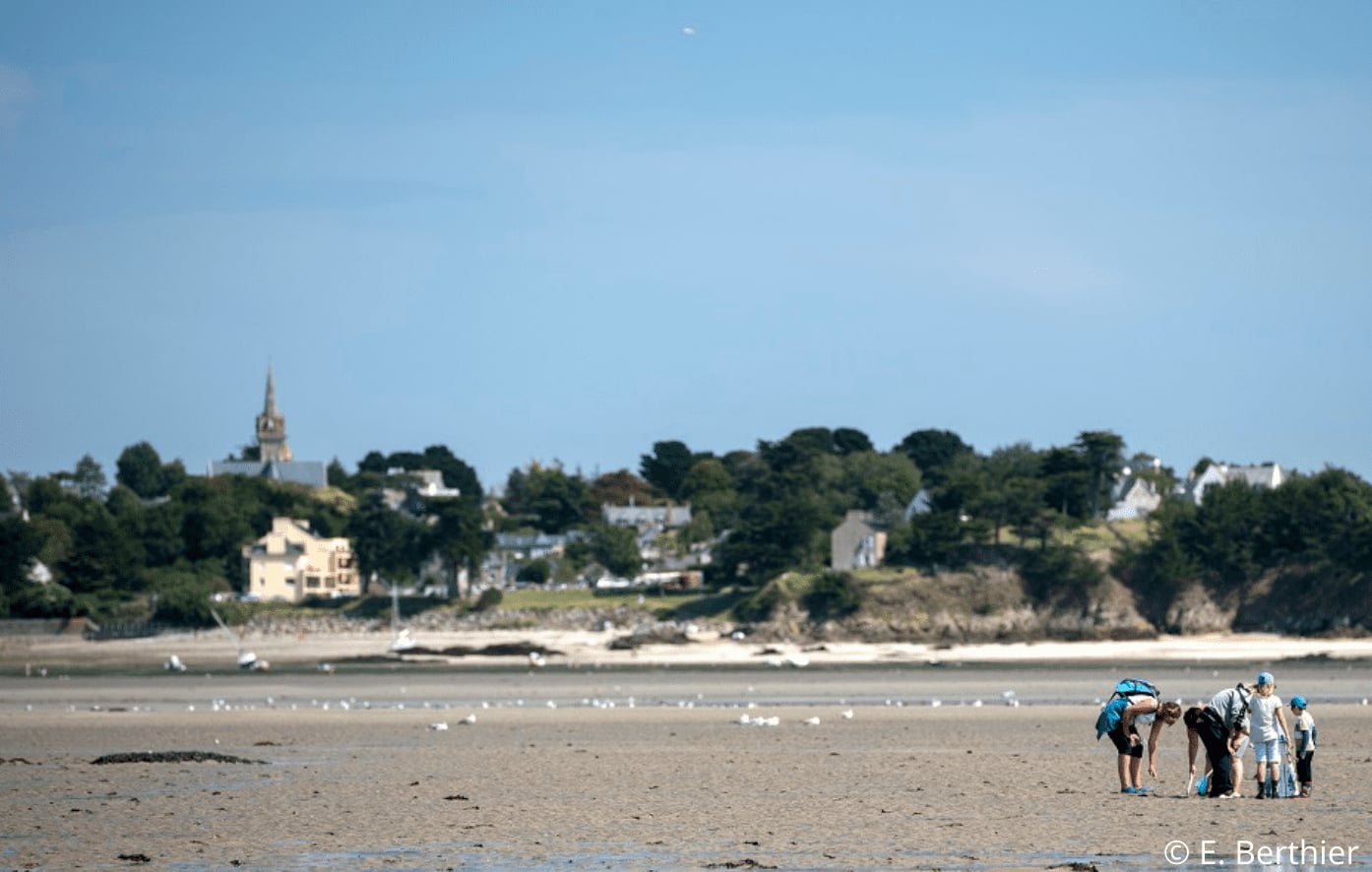 Découverte du petit monde à marée basse