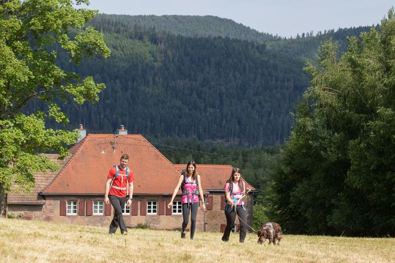 Sentiers Plaisir : Sentier 4 pattes