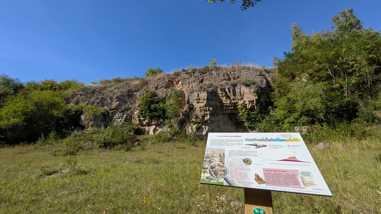 Sortie nature à Oeuilly : "Un peu de géologie en bonne compagnie !"