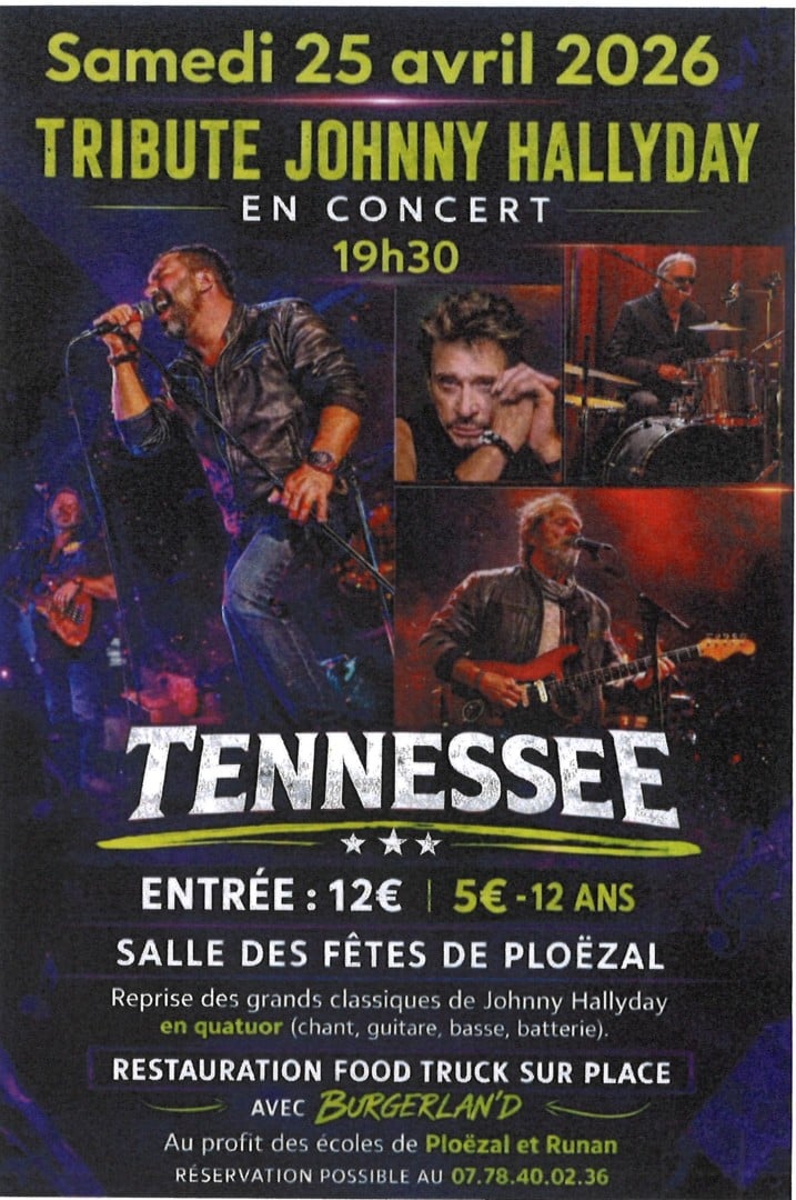 Tribute Johnny Hallyday en concert