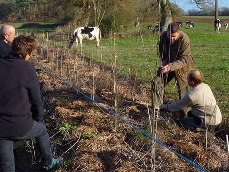Réunion d'information - plantation de haies