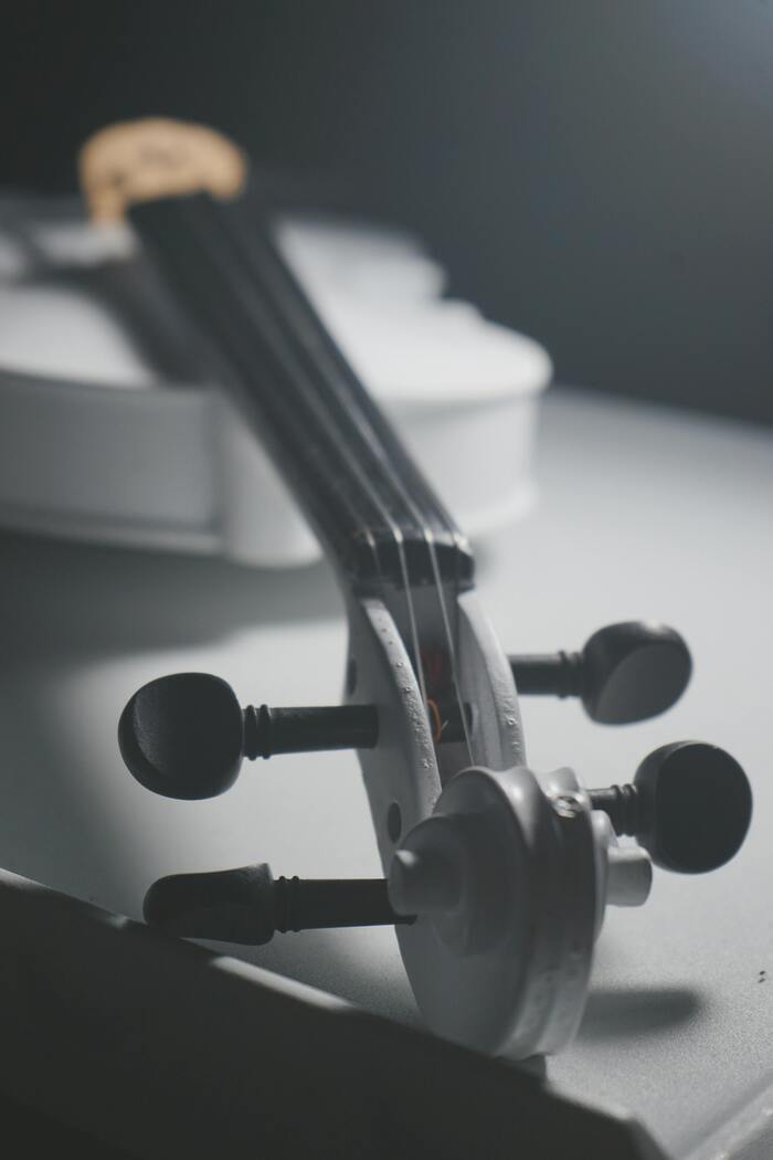 Violon et  l’alto