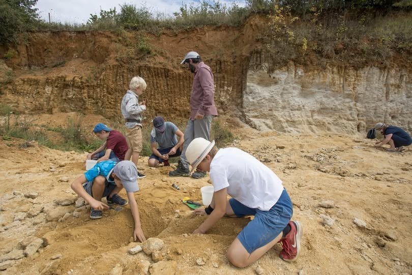 Sortie nature : Premiers pas en paléontologie