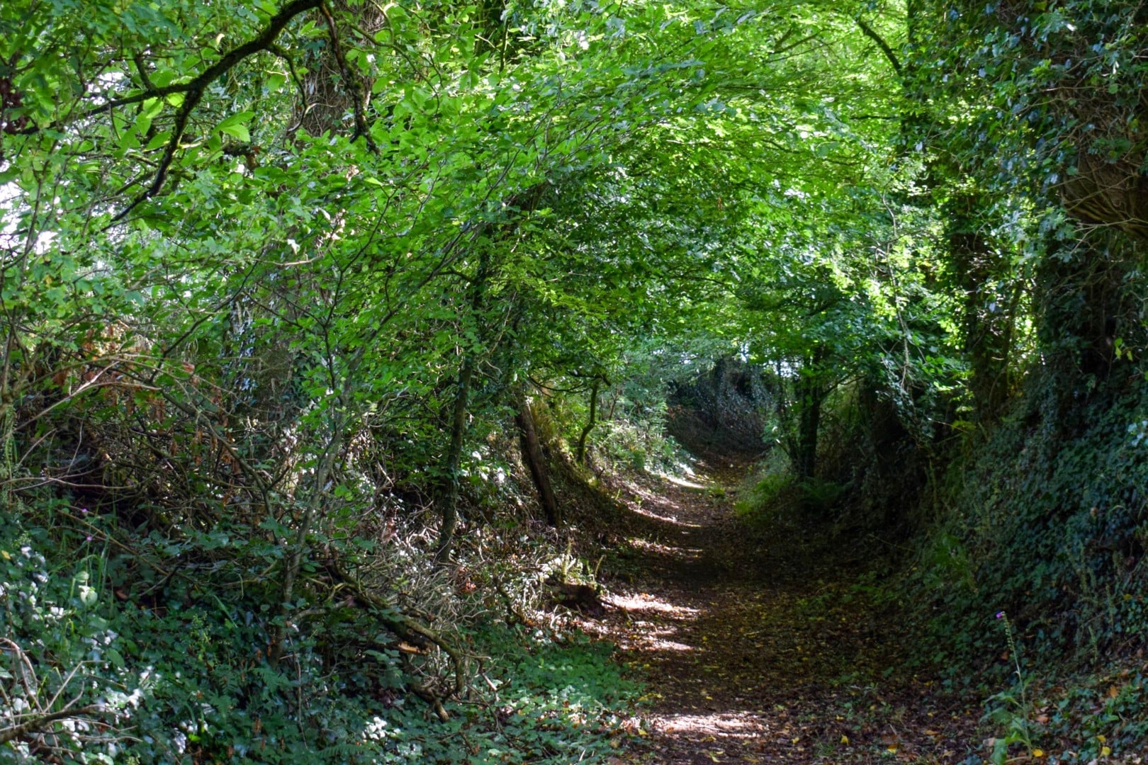 Journée de l’écolier