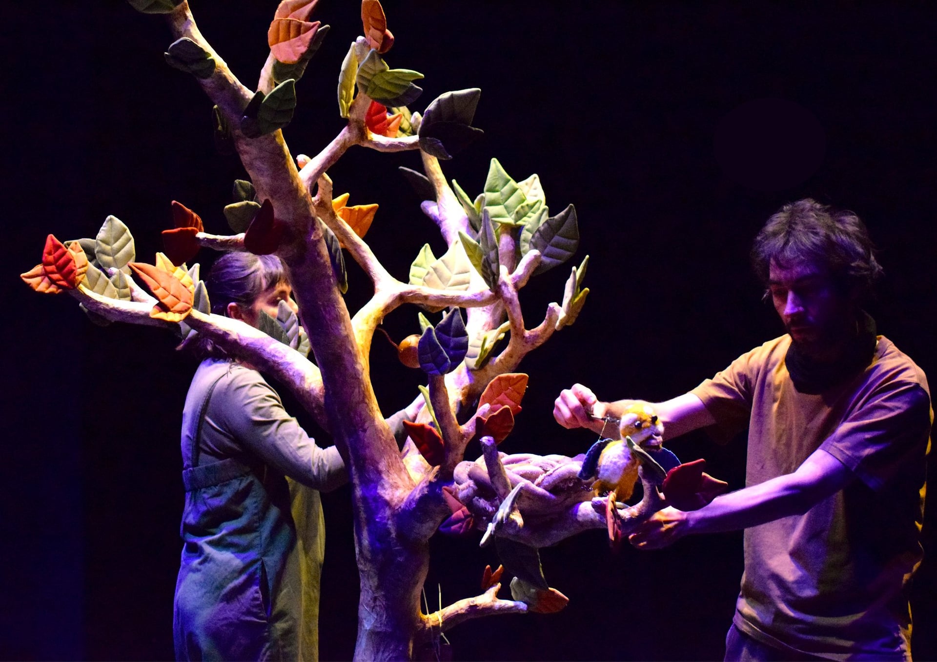 Spectacle "Le Premier Envol"