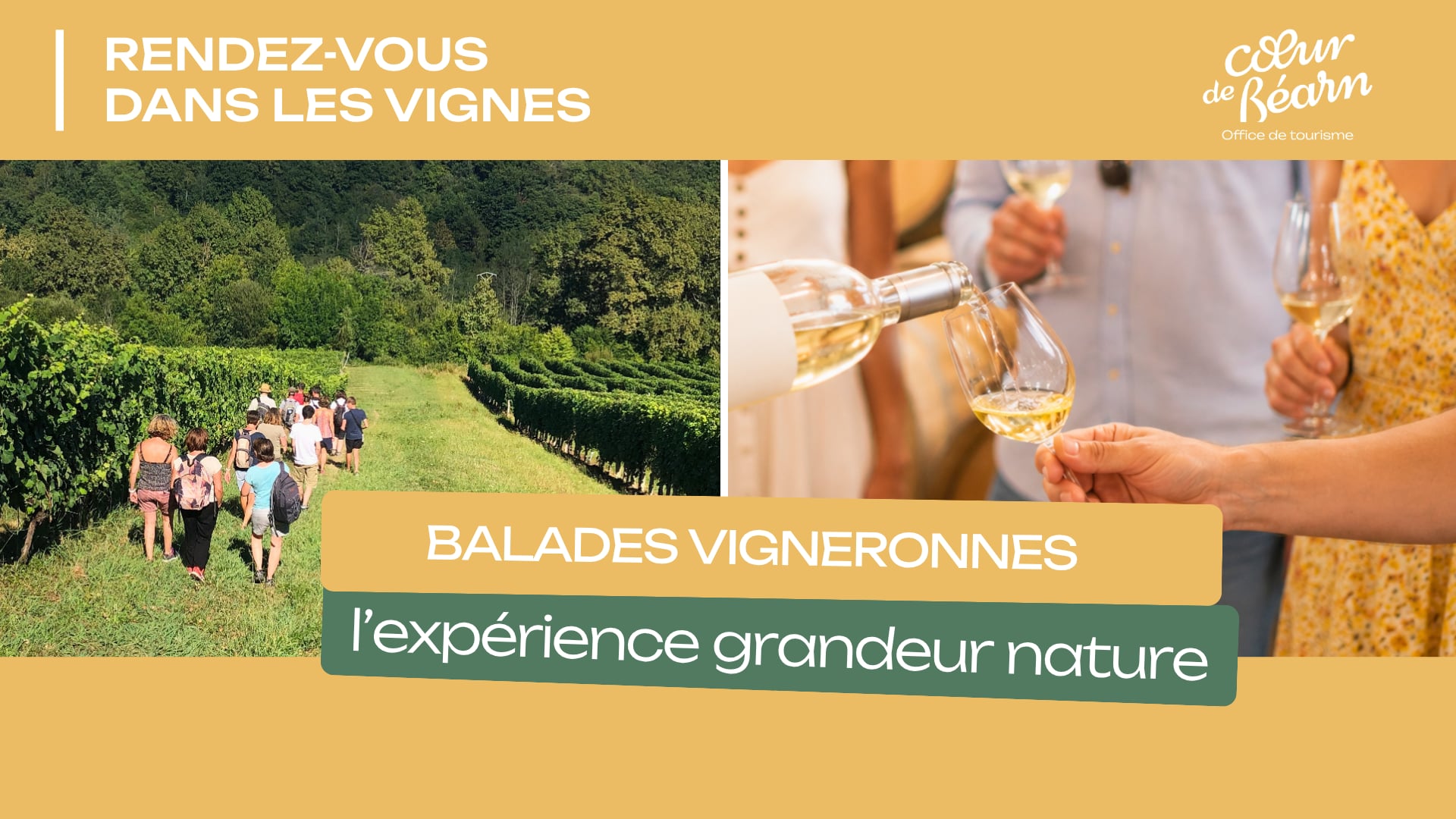 Balade vigneronne : Domaine Larroudé