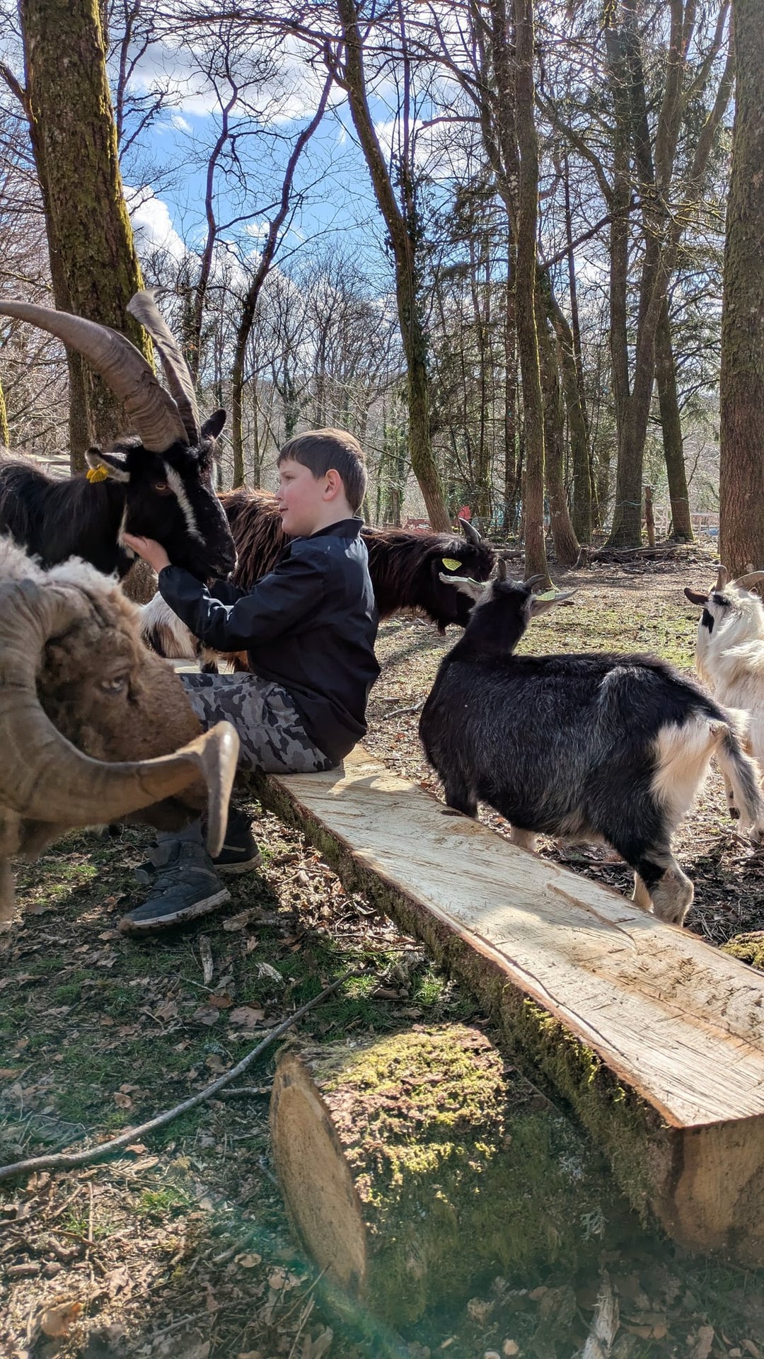 Atelier mini fermier