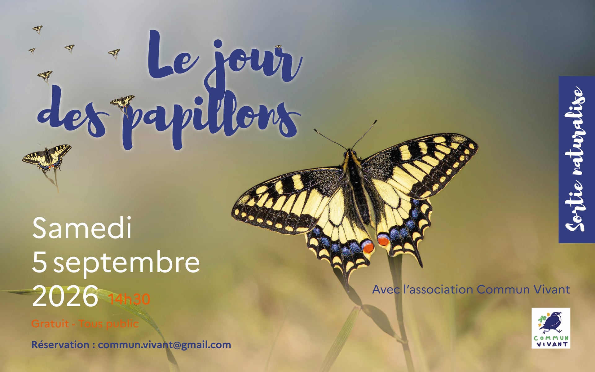 Le jour des papillons
