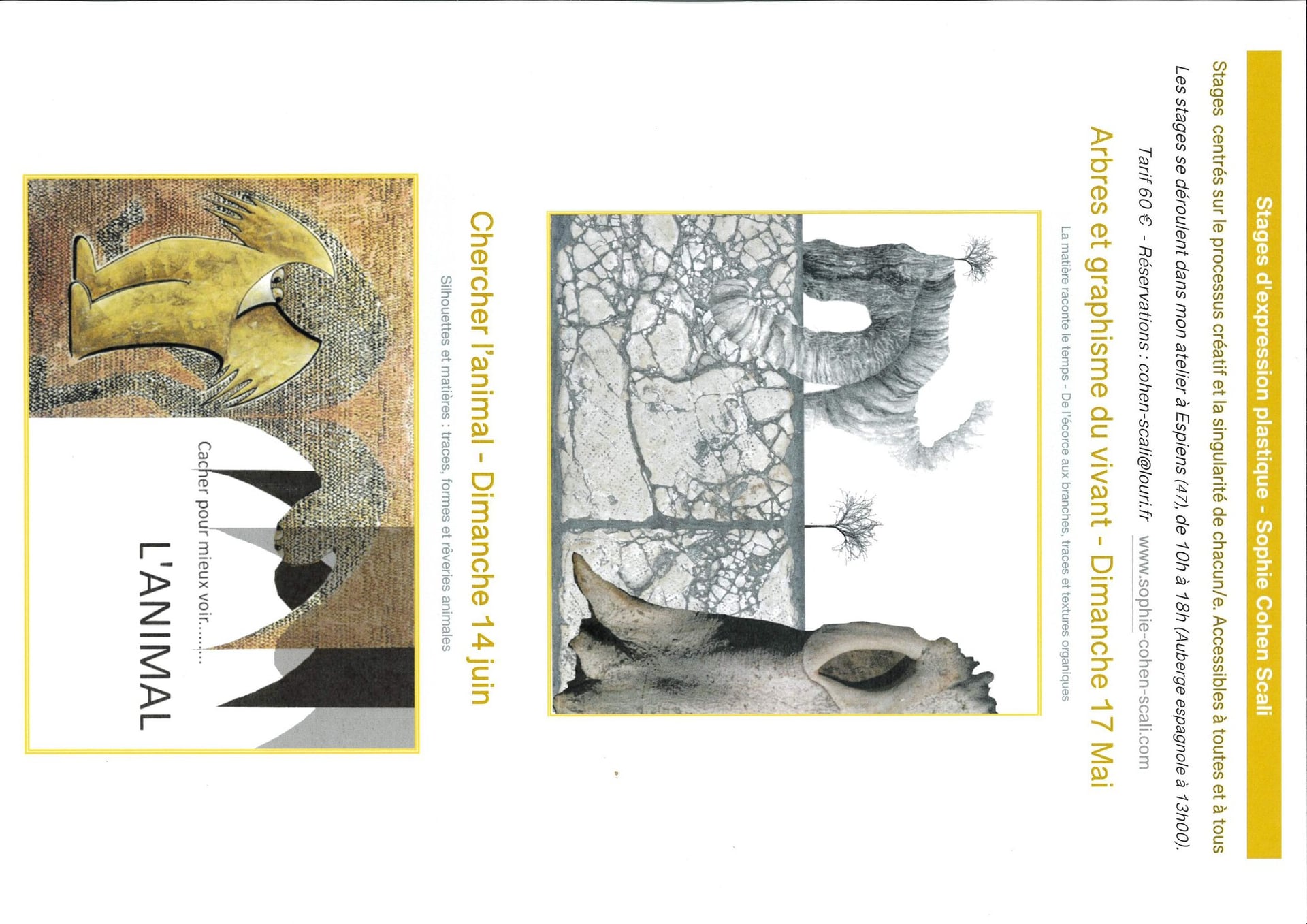 Stage d'expression plastique : Chercher l'animal