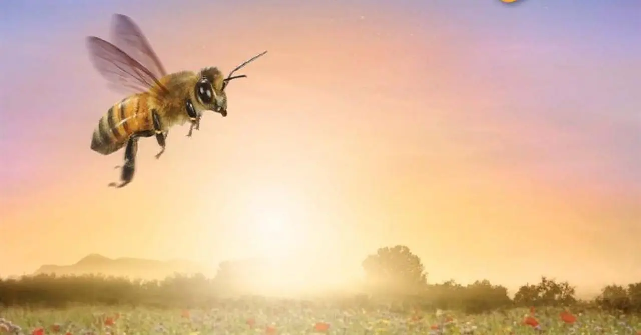 Soirée ciné nature "Etre avec les abeilles"