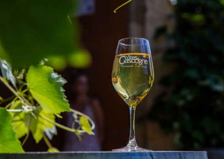 Vineart en Gascogne : Domaine de Herrebouc