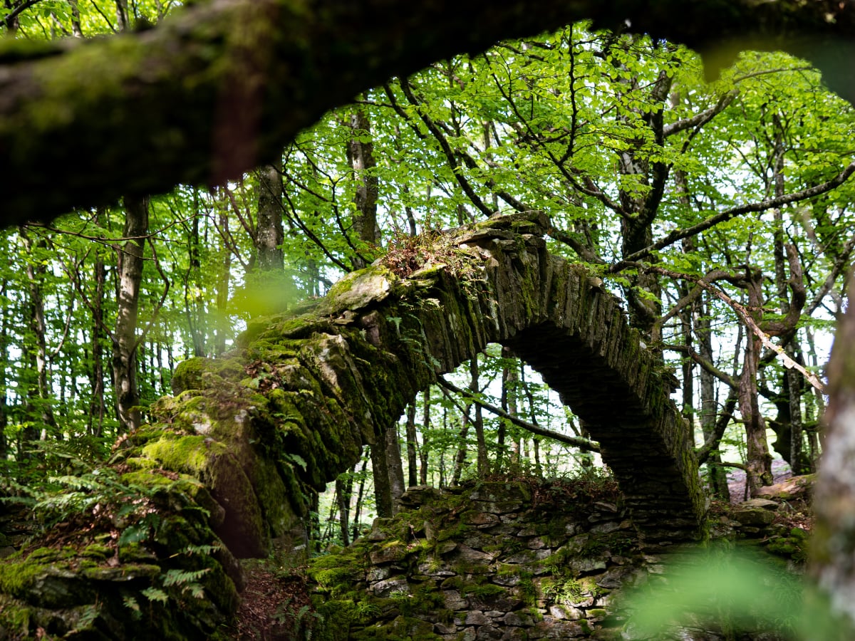 ESCAPADES EN MONTAGNE NOIRE - LE SENTIER DES GLACIÈRES