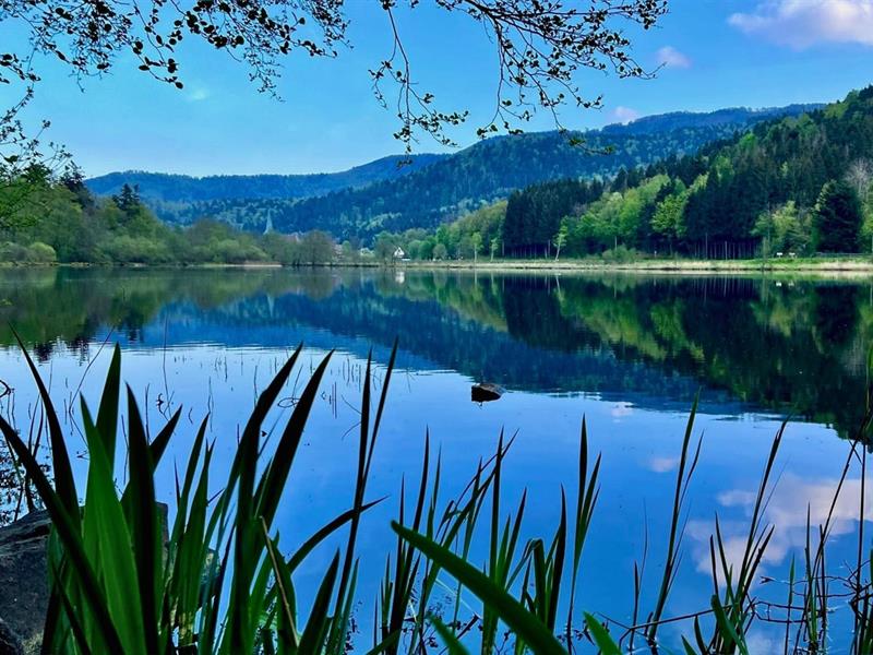 Sortie nature : Un paysage en mosaïque
