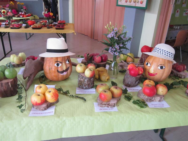 Exposition fruitière