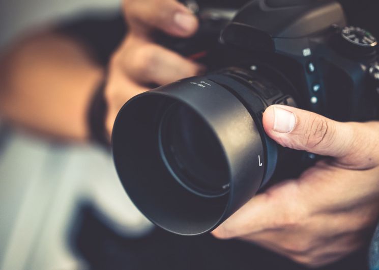 Exposition photo : À la découverte de la vie nocturne