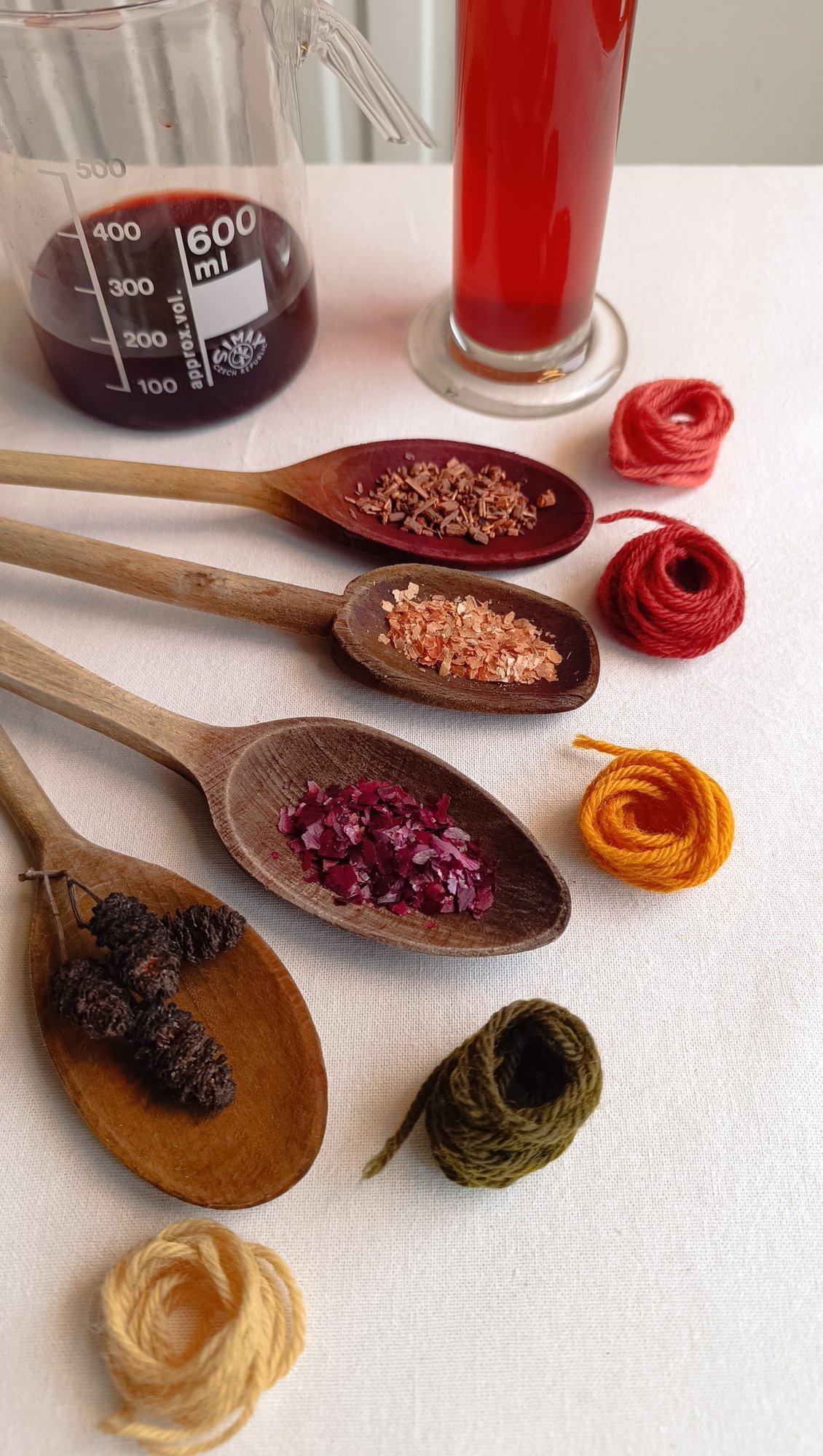 TEINTURE VÉGÉTALE : TON PROJET DE A À Z