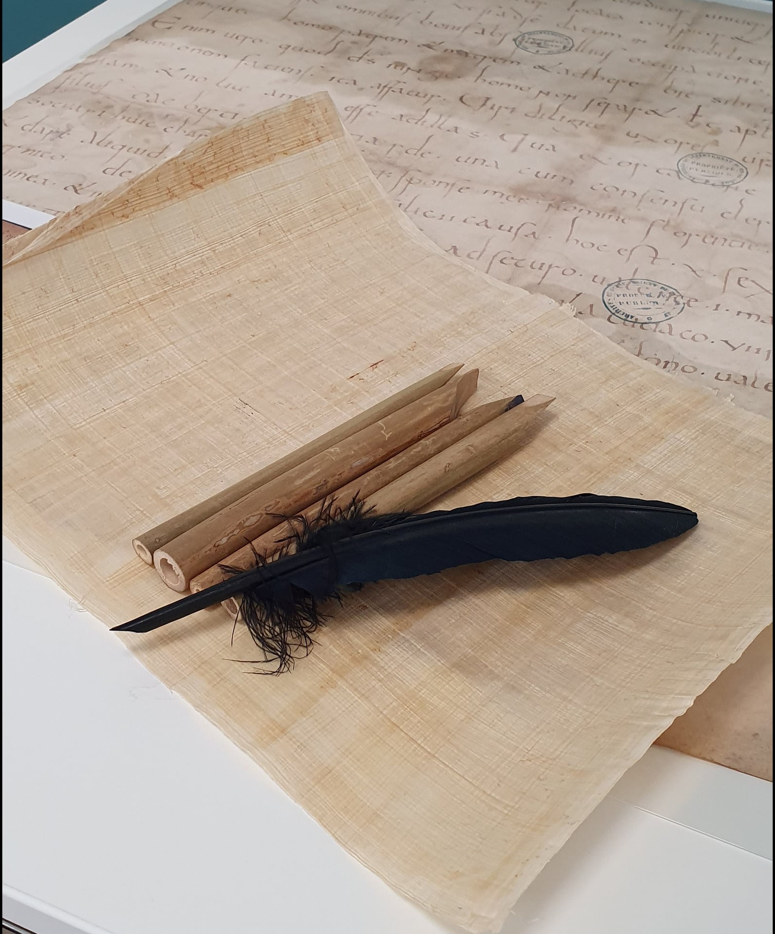 L'été des Archives (atelier jeune public) : calames et plumes, l'histoire de l'écriture