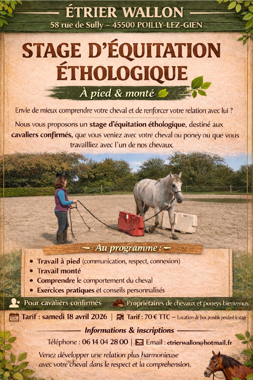 STAGE D'EQUITATION ETHOLOGIQUE