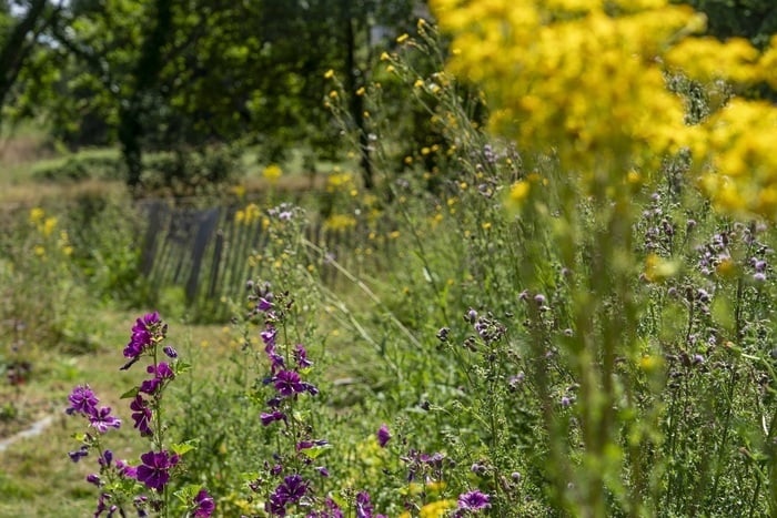 Repenser / transformer son jardin
