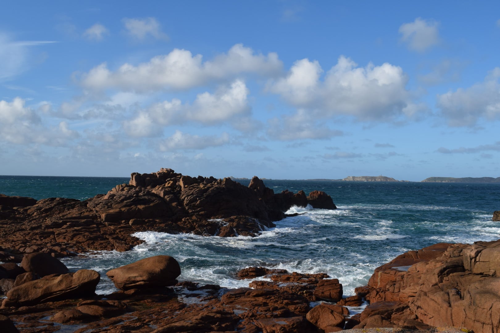 « Requin », entre mythes et réalités- (Ploumanac’h)