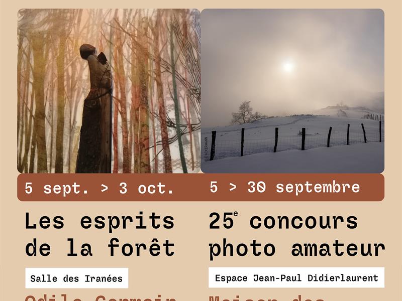 Exposition les esprits de la forêt
