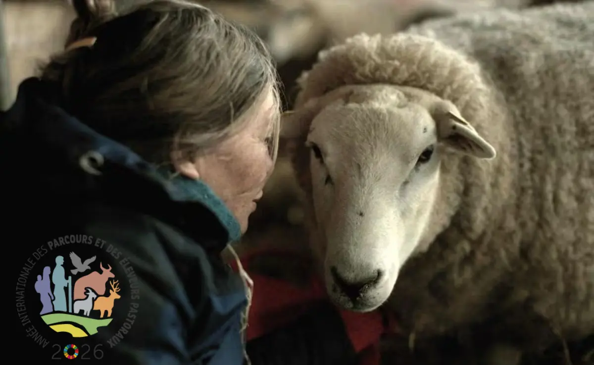 Rencontre culturelle : Projection de "Notes of Sheepland" suivie d'une discussion