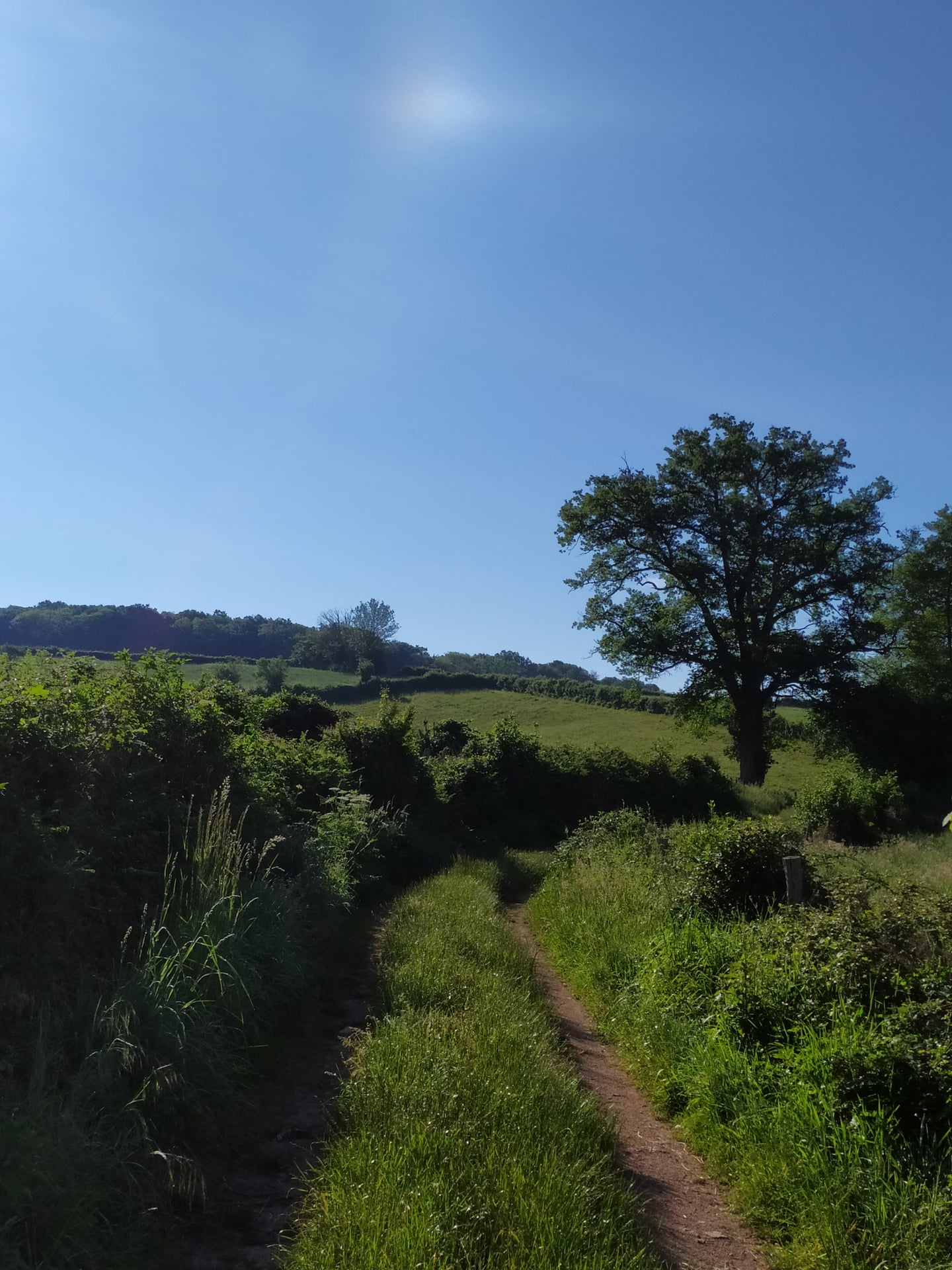 Le sentier de la Maison des Hommes et des Paysages
