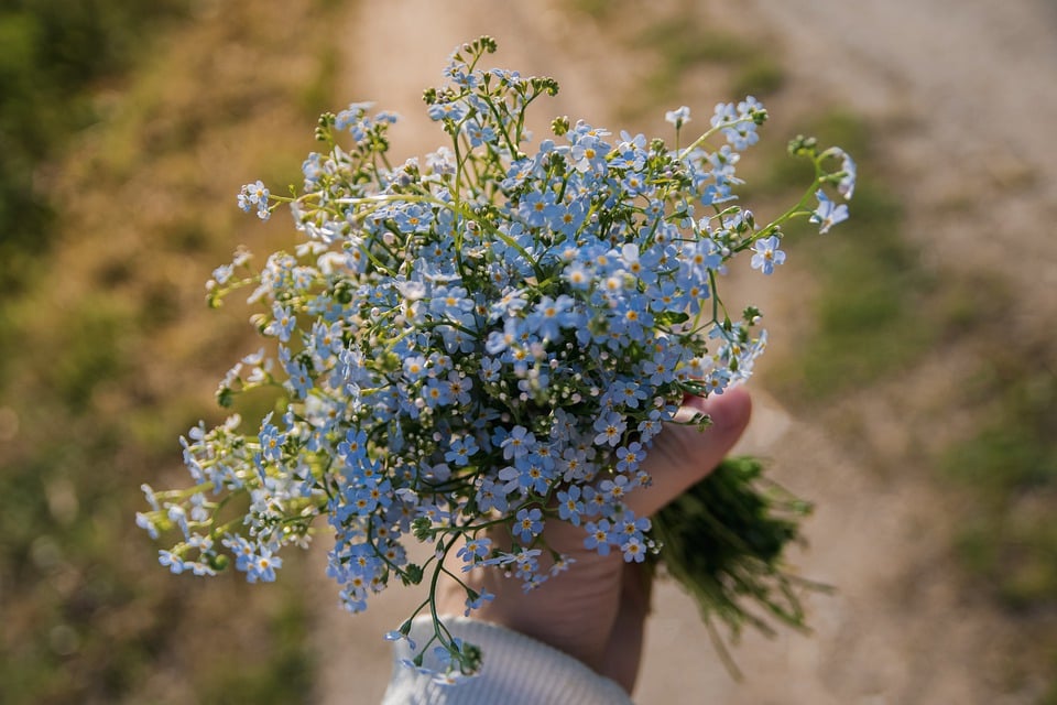 Les Ateliers de la mine : Atelier Art floral -