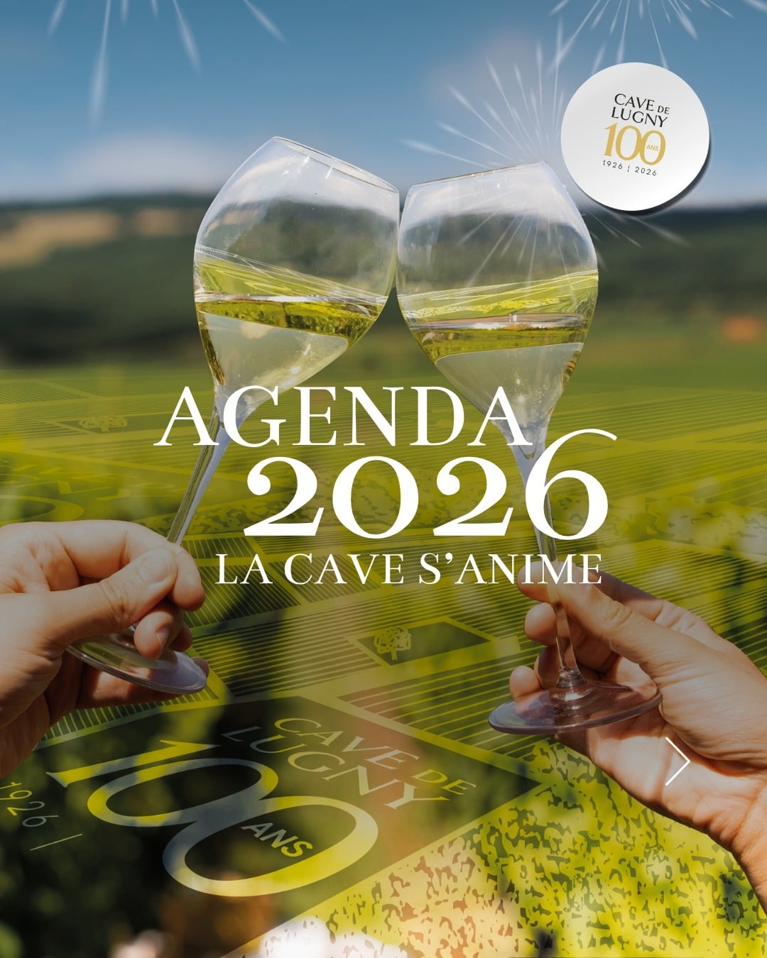 Portes ouvertes chai de Lugny