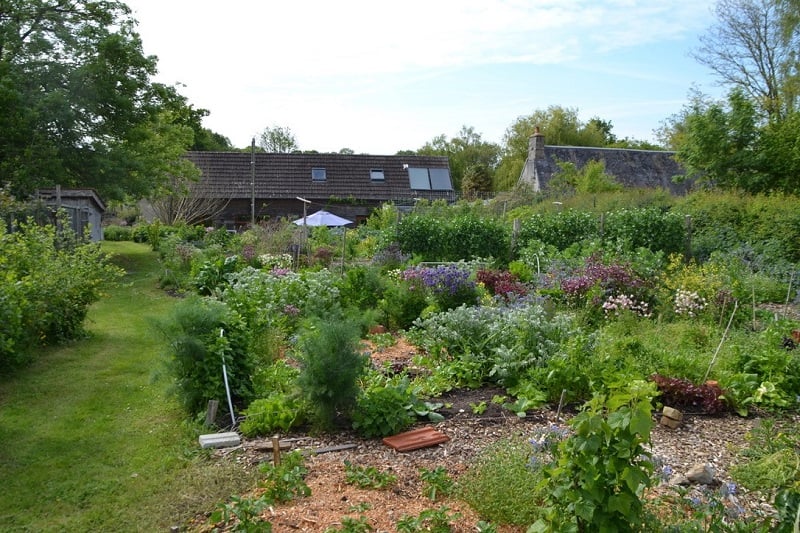 Cultiver des légumes en permaculture