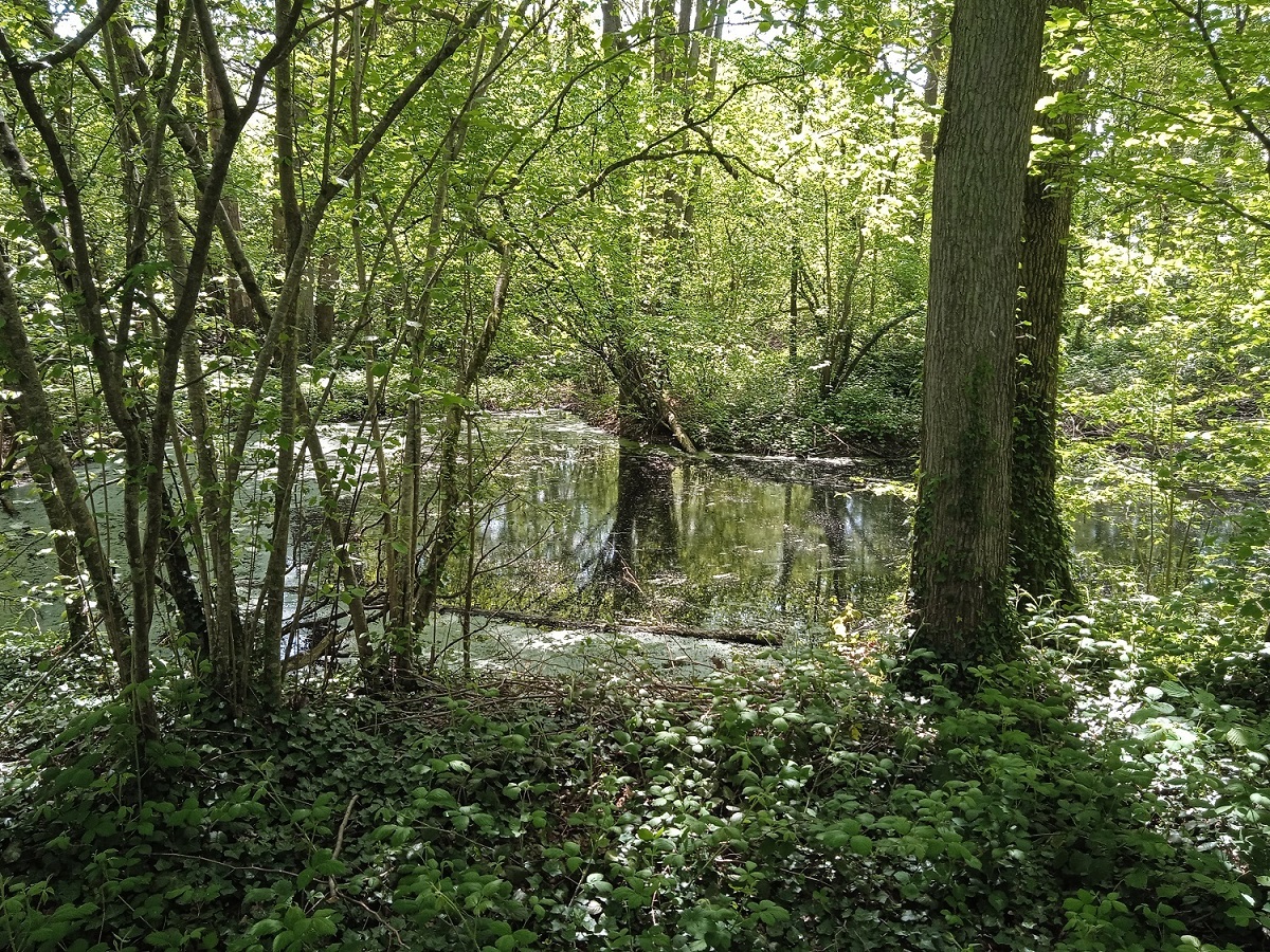 Vendredis "nature" : de l'argile au pot