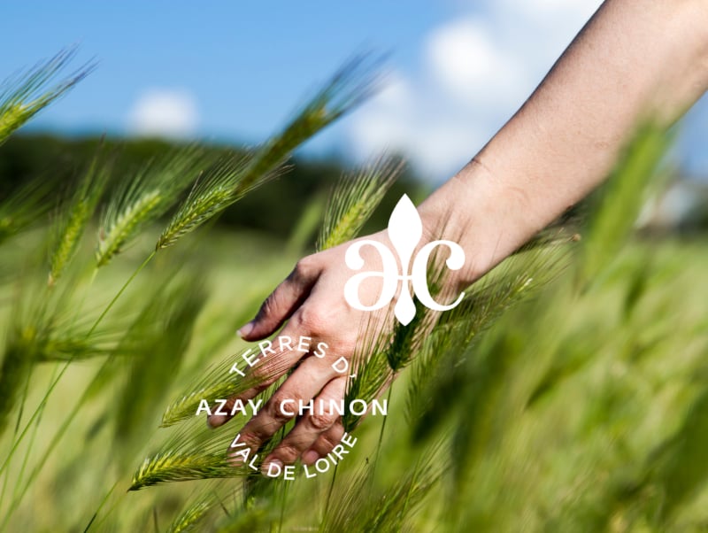 Découverte de la faune nocturne de la lande de Cinais