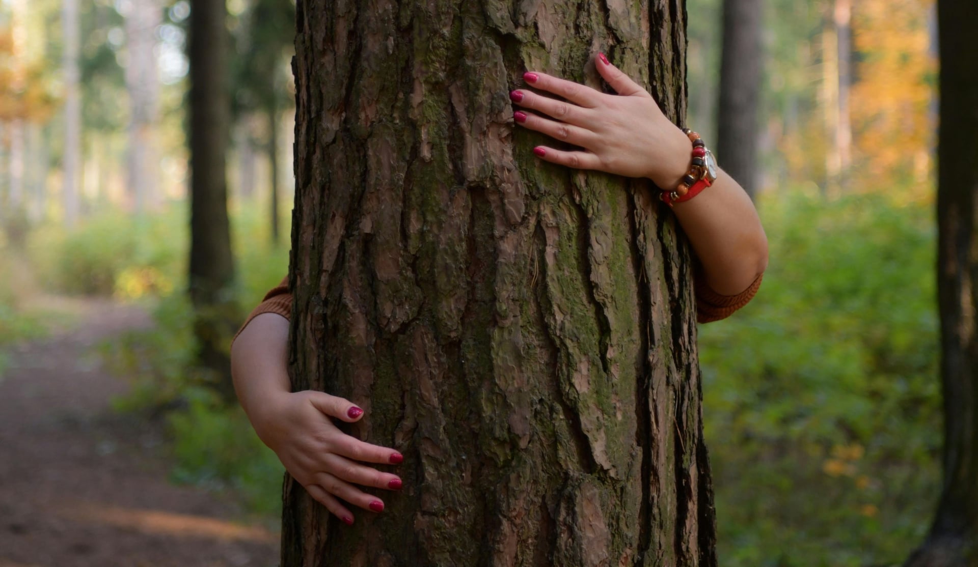 Forez'pirer - Bain de forêt en Livradois-Forez