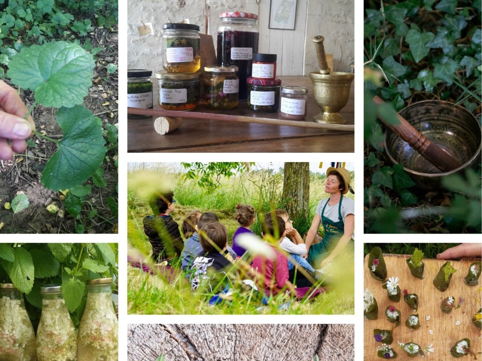 Programme des ateliers et stages d'Ô Jardin des Kamis