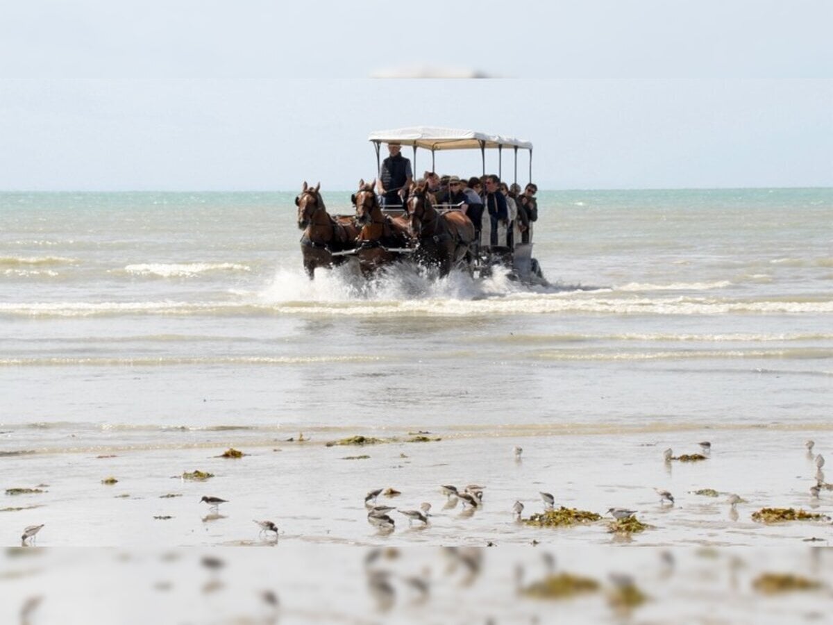 Attelages des Grandes Marées