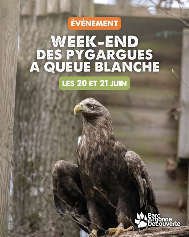 Week-end des Pygargues à queue blanche