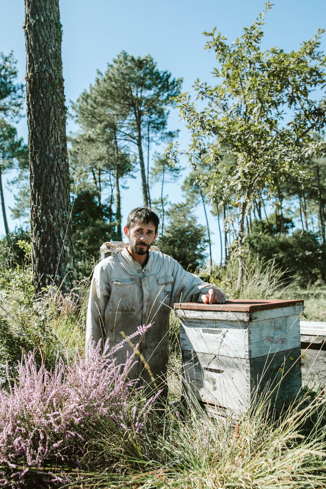 à la découverte des abeilles avec Jérémie