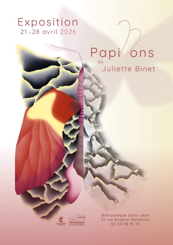 Exposition : Papillons