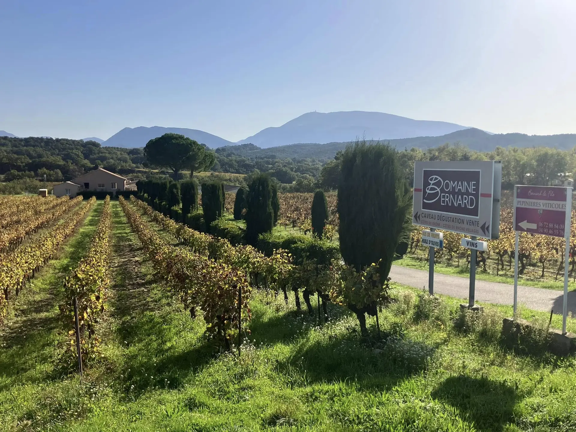 Balade Gourmande et Paëlla dans les vignes