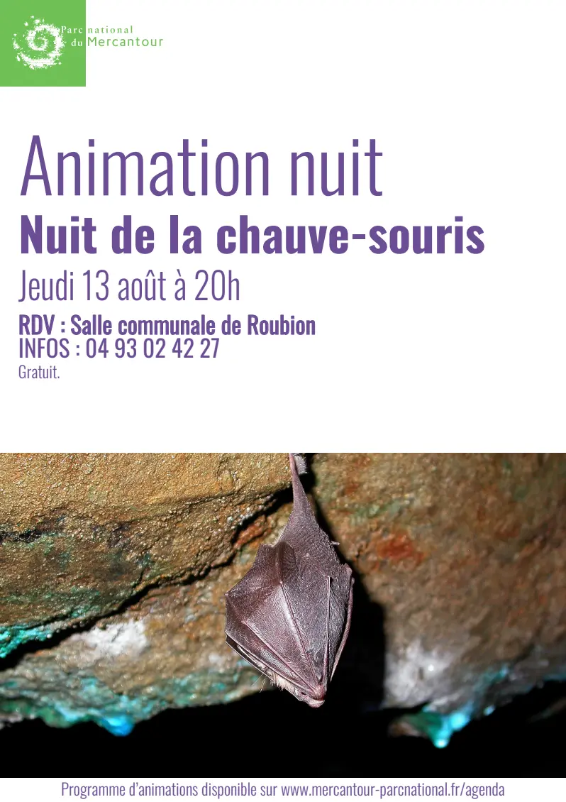 Nuit de la chauve-souris